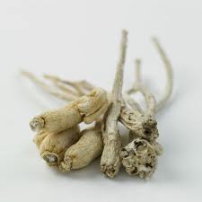ginseng-bio-antioxydant-puissant-naturel-rouge-blanc-poudre-aphrodisiaque-libido (3) Des bienfaits de la racine de ginseng