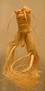 ginseng-bio-antioxydant-puissant-naturel-rouge-blanc-poudre-aphrodisiaque-libido (31) Ginseng - A 'Little Man' et un puissant aphrodisiaque