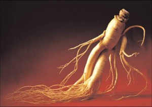 Les spécificités du ginseng et son mode de consommation