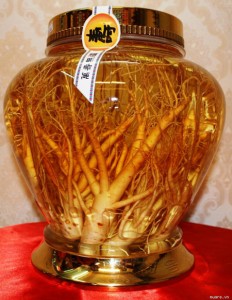 Le ginseng: propriétes et bienfaits d'une racine "miracle"